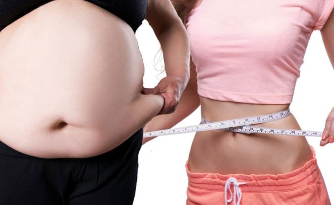 slim-fat
